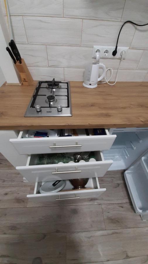 Transfer Apartament І.Franka 59 Lviv Eksteriør bilde